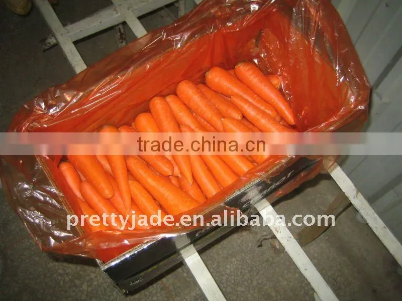 Chinese frozen carrot