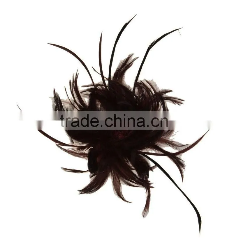 Fancy Feather Hair Fascinator/Clip/Barrettes