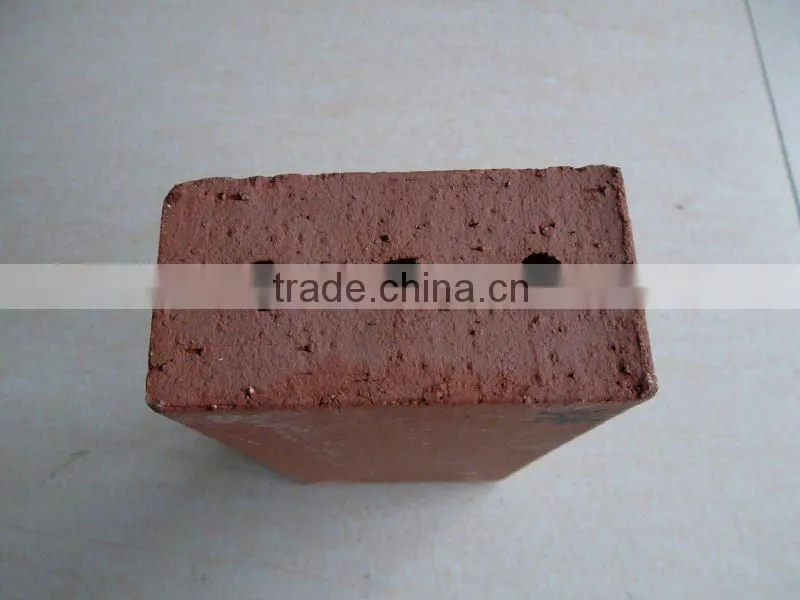 Outdoor tile flooring 100x200x50mm