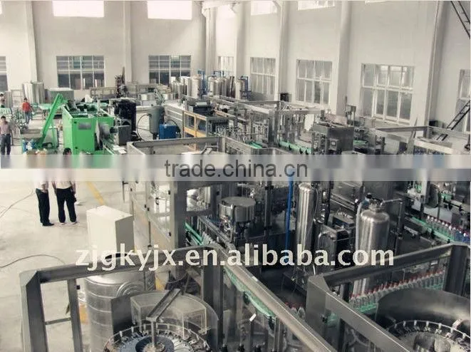 automatic beer bottle capping machine cost