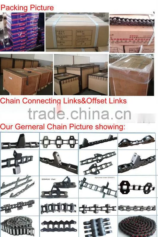 hollow pin conveyor chain Pitch 50mm with stright plate-3124-50HPF3