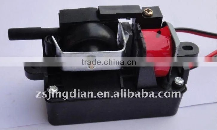Ozone air pump
