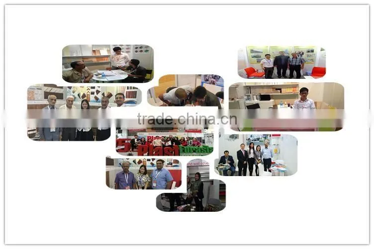 25cm wpc interior wall panel
