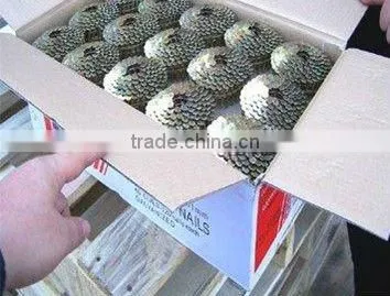 Ninth item Roofing coil nails
