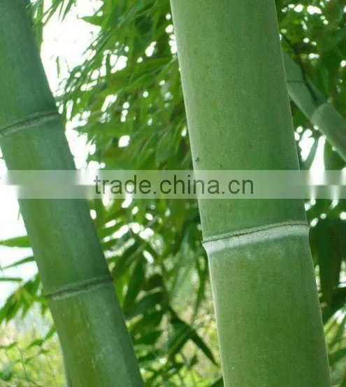 strand woven flooring grey bamboo floor bamboo decking