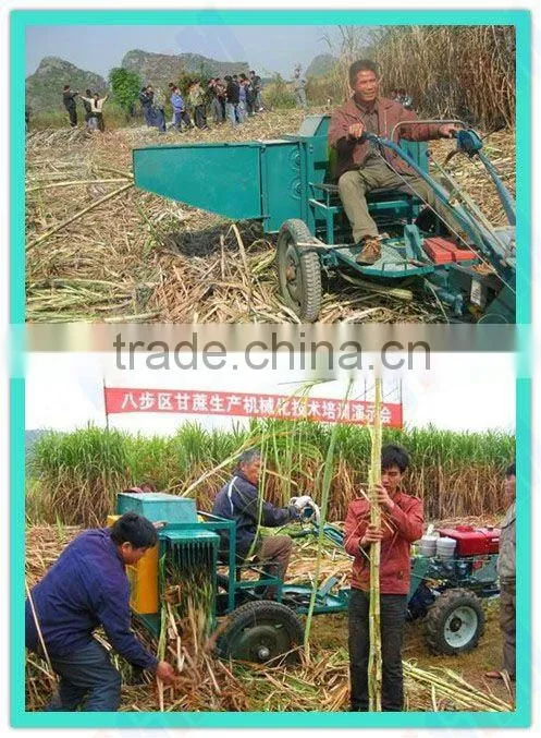 Sugar cane harvester with wheel 6BZ-15