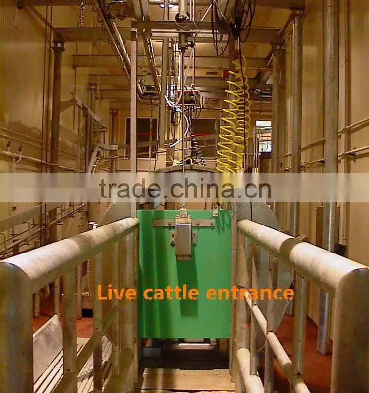 Ritual slaughter Livestock cattle restraint device to process meat