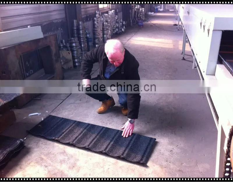 Stone coated roof tile mould