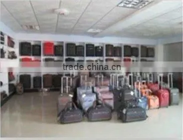 young people trolley bags