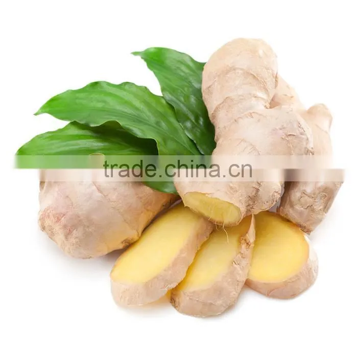 VIETNAM WHOLE SALE GINGER POWDER