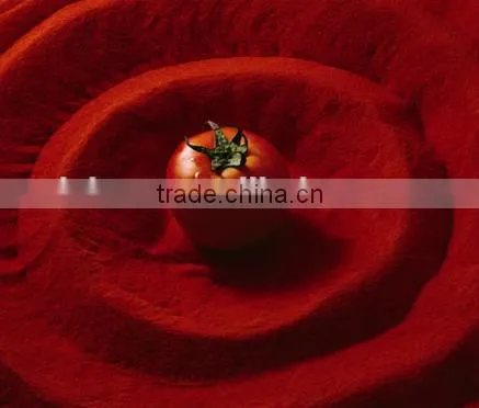 100% natural Lycopene Extract tomato extract powder