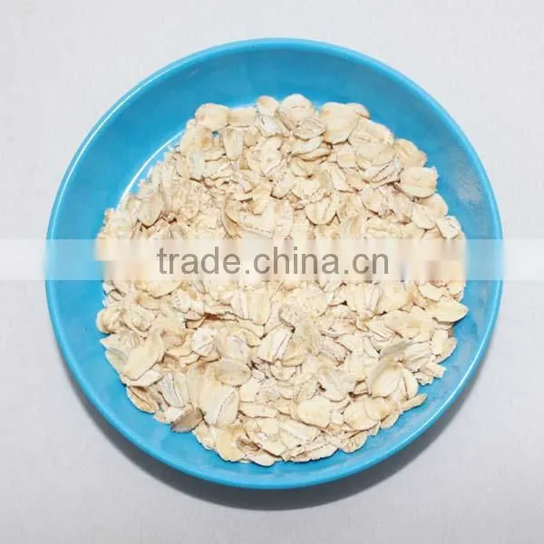Bulk Whole Grain Oatmeal/ Raw Material Oatmeal