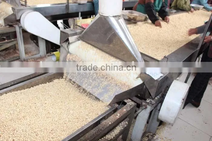 new crop Chinese blanched peanut kernels