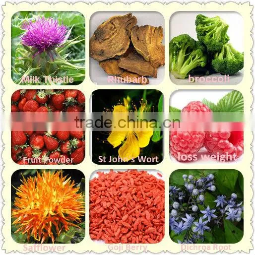 100%Pure Fruit Powder--Citrus limon dried powder 10:1