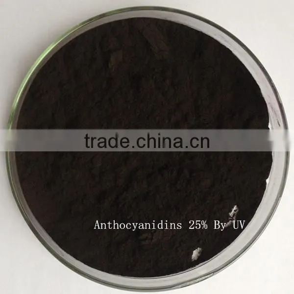 Natural grape seed extract proanthocyanidins Grape Seed Extract