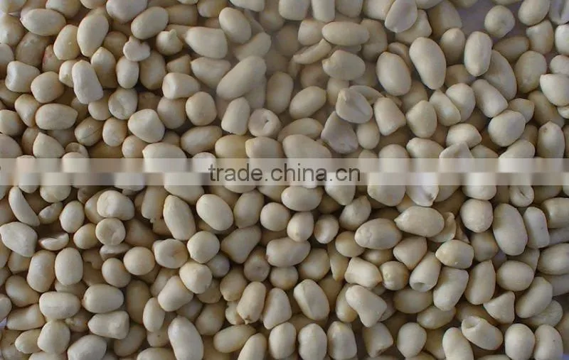 blanched peanut kernel with good quality