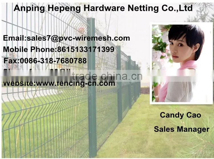 Hot sale Graceful Wire Mesh Fence