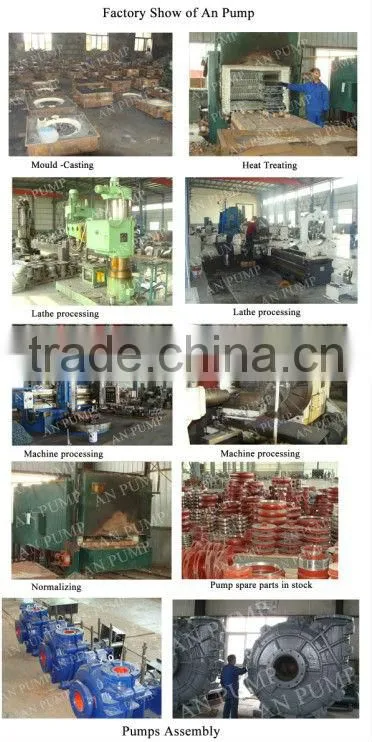 Mining Coal Washery Slurry Pump