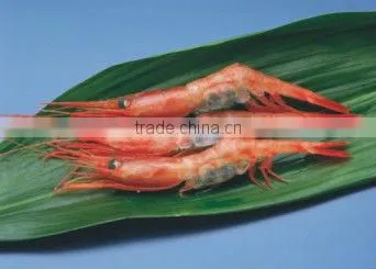 Fish Seafood Contact Plate freezer Shrimp Freezing Equipment