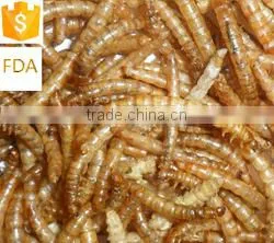 Dried Mealworms,Birds Food & aquarium fish food