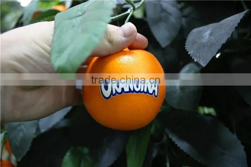 Home gardens for curtain hotel decoration 200cm Height making artificial live plastic green orange bonsai tree EZZPZ06 0302