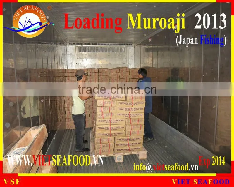 LOADING MUROAJI FOR TUNA BAIT