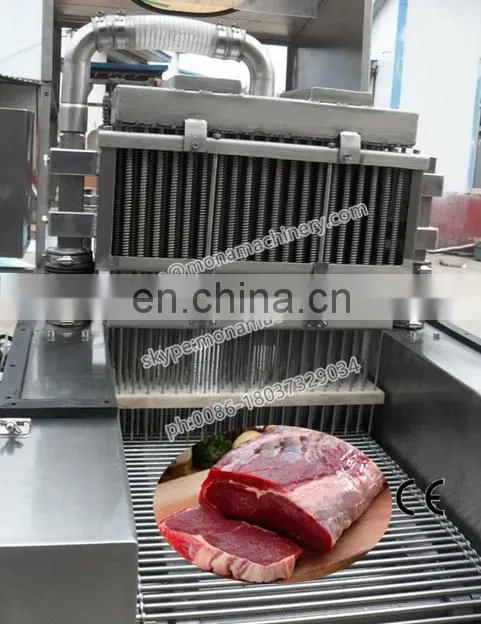 Meat/fish/chicken Saline Injection Machine
