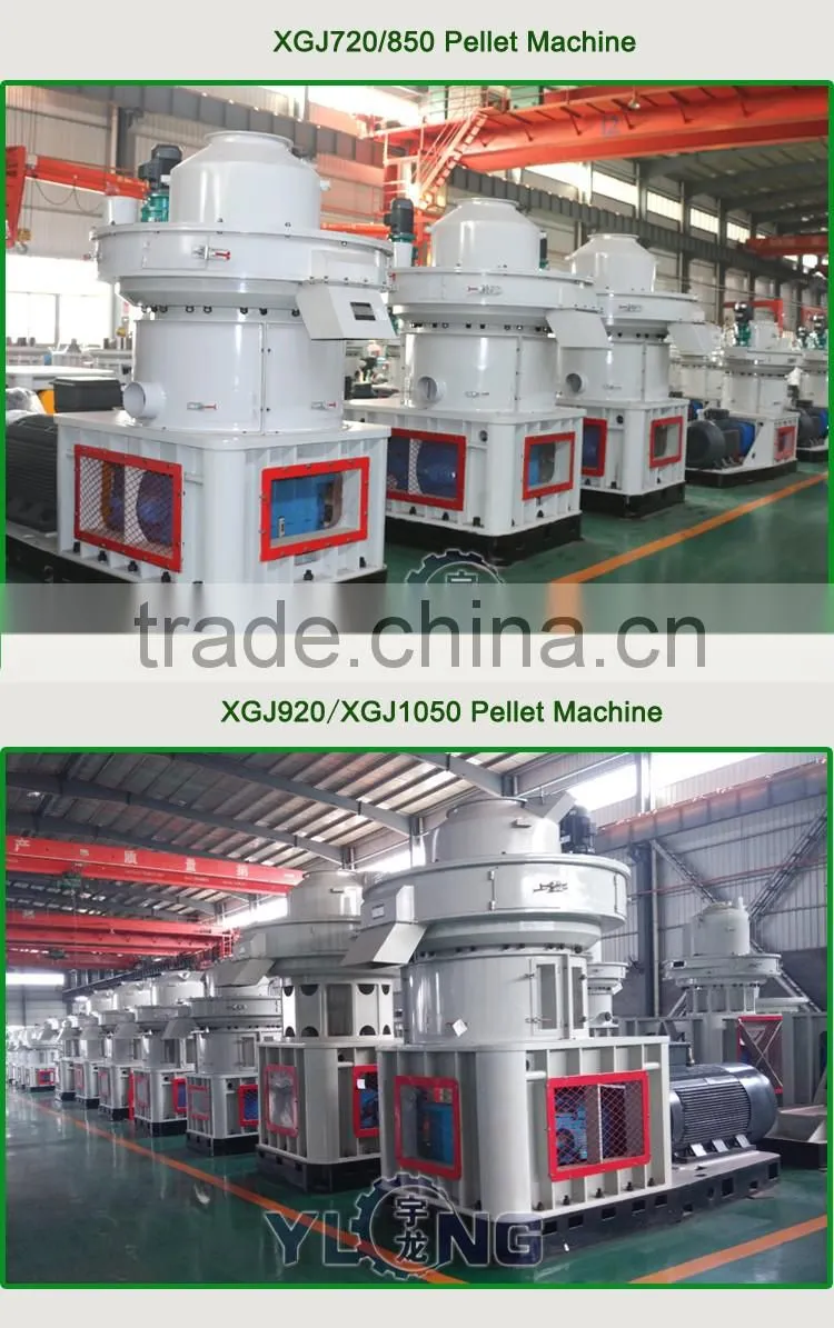 China 2.5-3T/H Biomass Wood Pellet Plant