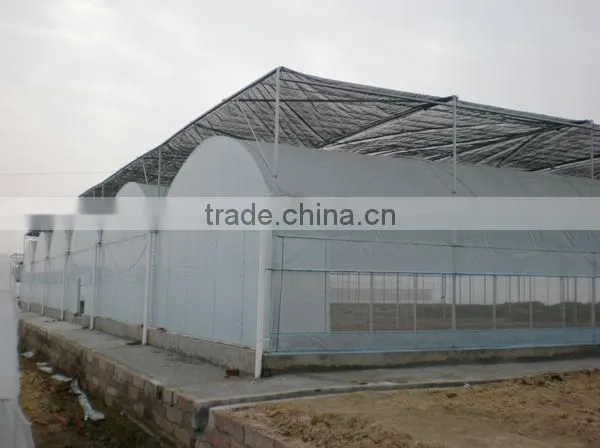 Multi-span Industrial Film Greenhouse Sale