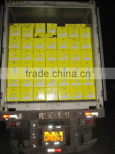 china new crop fresh ya pear