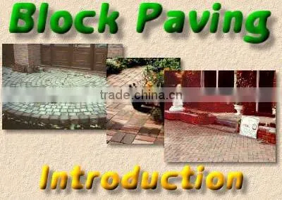Paver Block