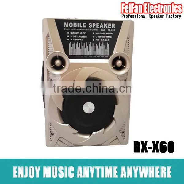 Top Sale 6.5 Inch Usb Speaker With Fm Radio