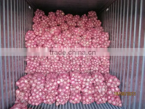 Fresh Red Onion