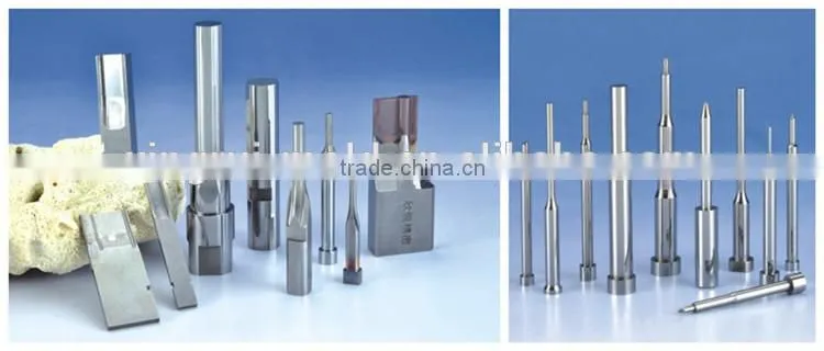 China plastic mold maker precision mold parts Injection Mold Parts