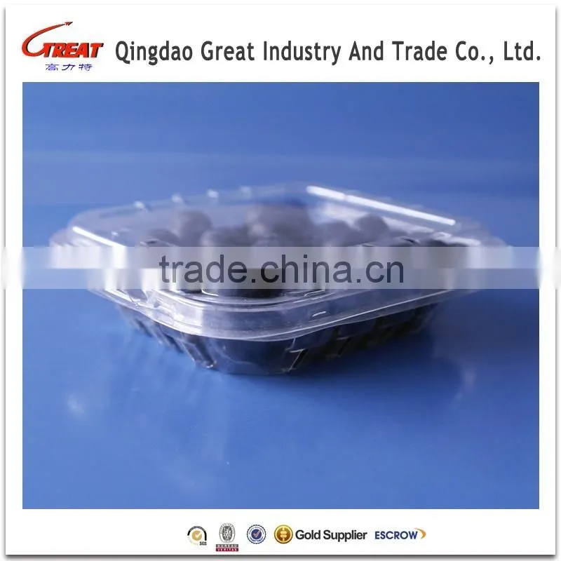 PET Disposable Blister Blueberry Clamshell Container