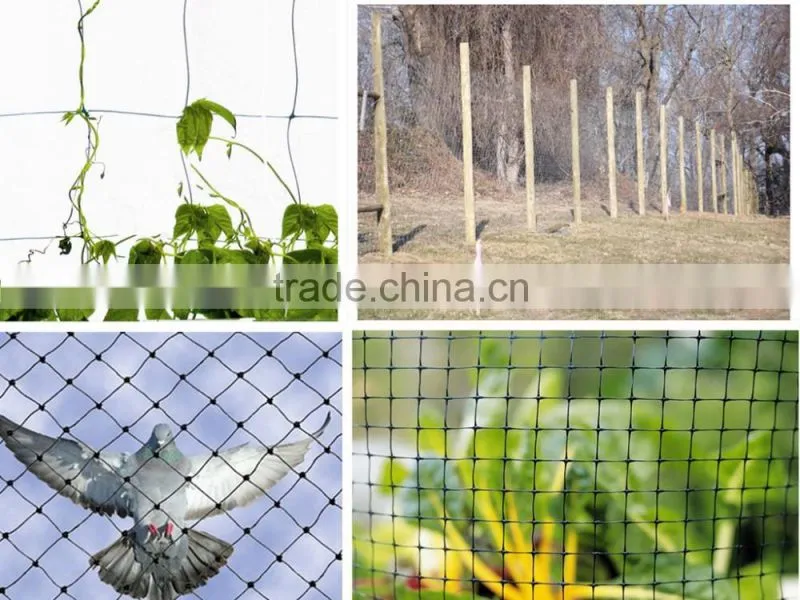 Plastic Mesh For Mosquito