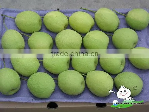 China shandong pear 15kg carton