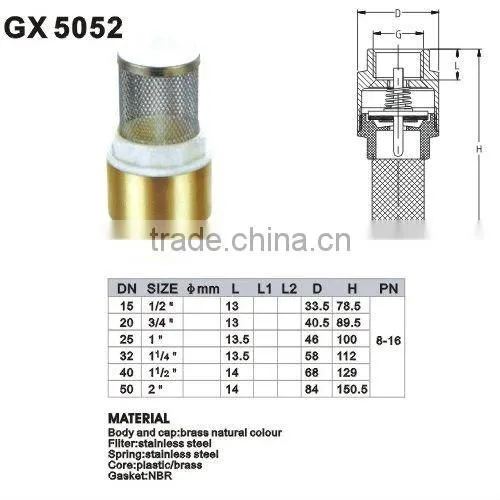 Brass Spring Check Valve With Filter