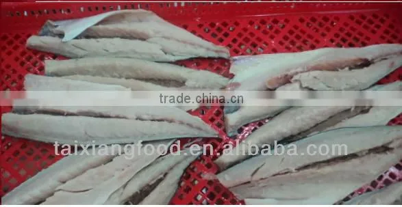 spanish mackerel fillet