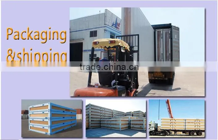 2015 New hot sale light frame steel structure villa