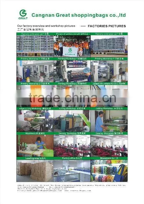 vertical bar laminated metal storage trunk pp woven bag(Gre-kbc13)