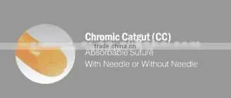Chromic catgut