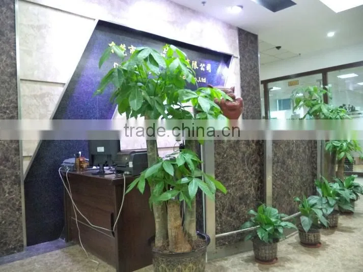 Aoxi Fashion Garment Limited Company (Dongguan) company overview - view 2