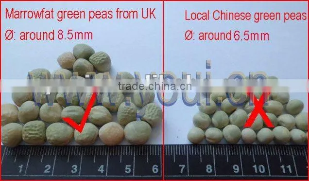 Pure Natural Salted Flavor Green Peas BRC