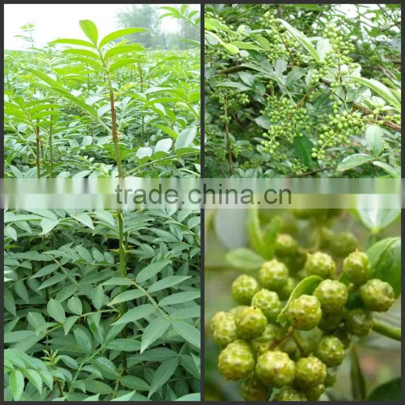 Spice pepper color sorting machinery! Imported CCD camera from Japan ! Vision's CCD Color Sorter machine!From anhui!