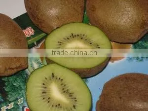2016 new crop chinese fresh kiwi fruits with good quality