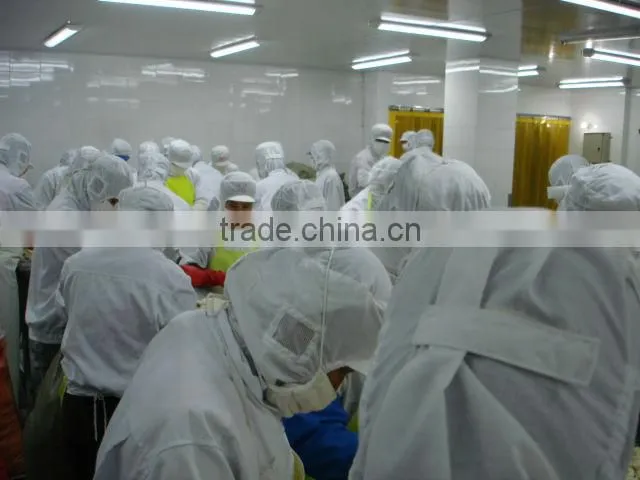 IQF frozen peeled ginger, chinese golden supplier