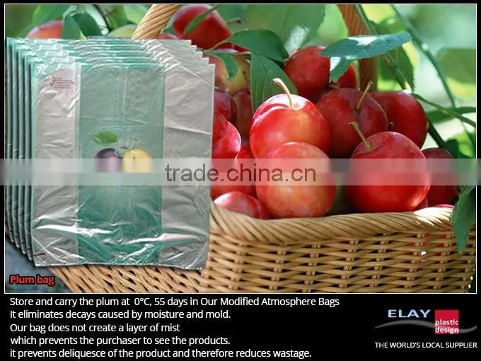 Asparagus protection bag