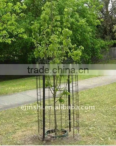 tree guard