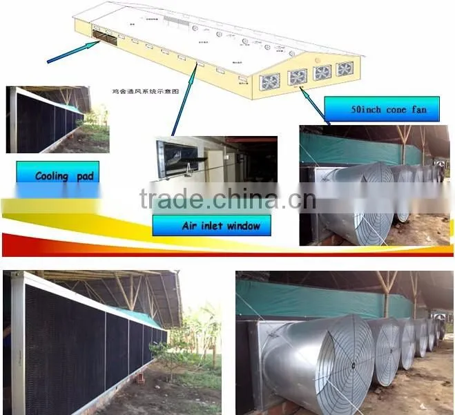 Automatic chicken feeder poultry chicken feeding system